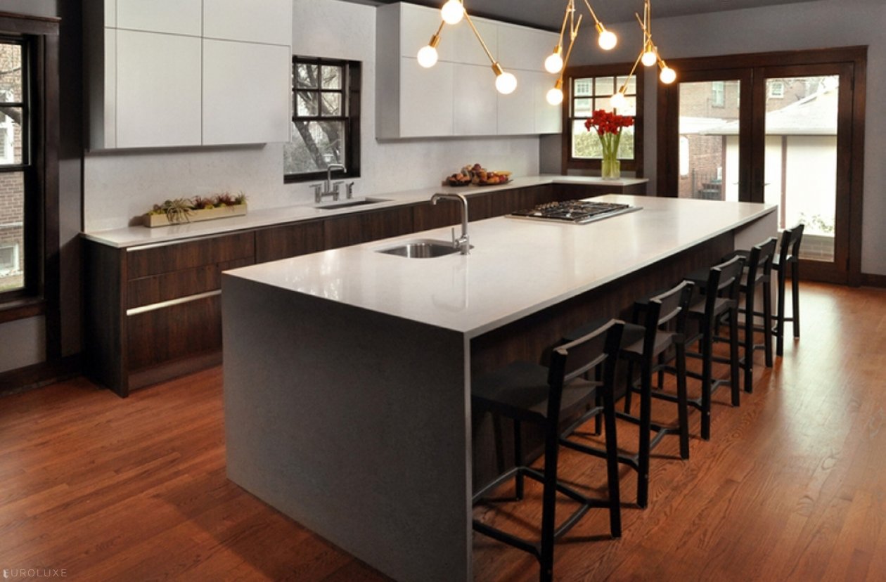 Oak Park | Linden Avenue Kitchen & Bar - custom design chicago, Oak Park Kitchen, Italian kitchen, , custom cabinets, custom interior, modern kitchen