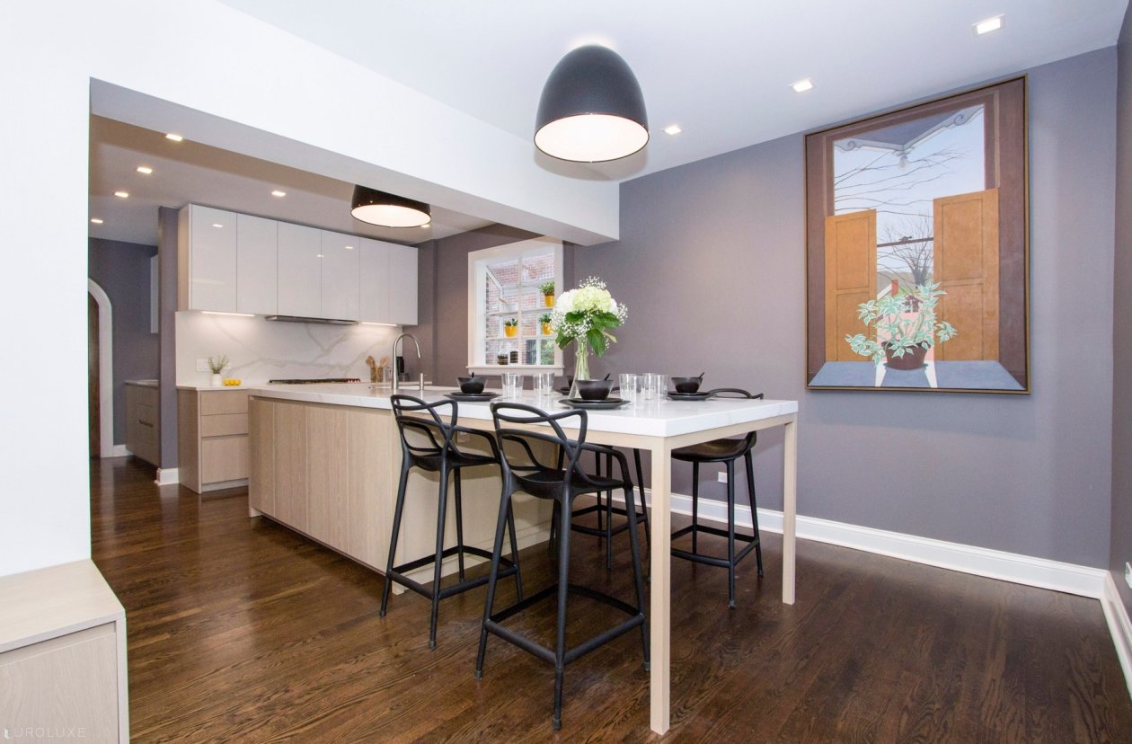 Evanston | Lake Street Single Family Home - contemporary kitchen in vintage house, Vintage home modern kitchen