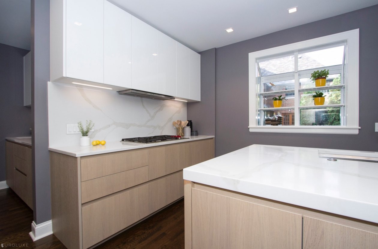 Evanston | Lake Street Single Family Home - contemporary kitchen in vintage house, Vintage home modern kitchen