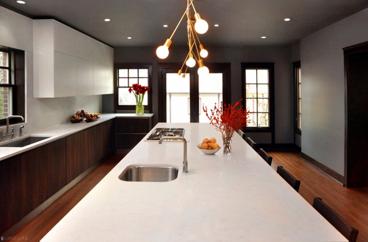 Oak Park | Linden Avenue Kitchen & Bar - custom cabinets, modern kitchen, Italian kitchen, custom interior, Oak Park Kitchen, , custom design chicago