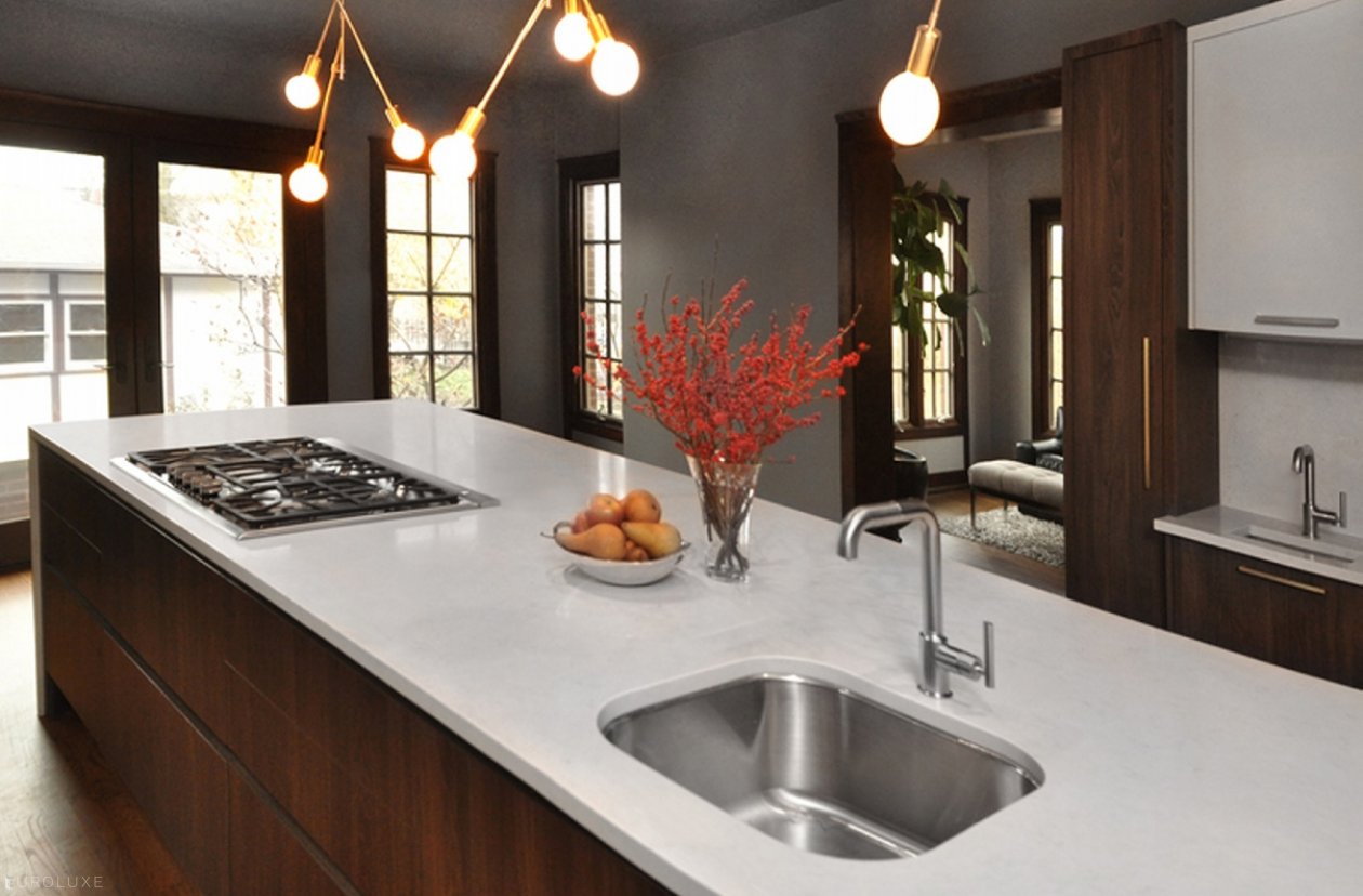 Oak Park | Linden Avenue Kitchen & Bar - custom design chicago, custom interior, Oak Park Kitchen, custom cabinets, modern kitchen, , Italian kitchen