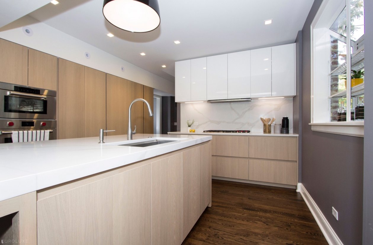 Evanston | Lake Street Single Family Home - contemporary kitchen in vintage house, Vintage home modern kitchen