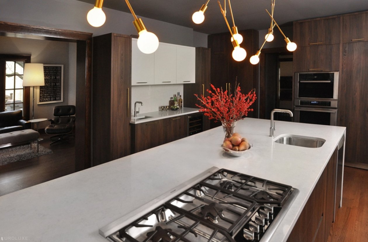 Oak Park | Linden Avenue Kitchen & Bar - custom design chicago, custom cabinets, modern kitchen, , Oak Park Kitchen, Italian kitchen, custom interior